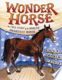 Wonder horse